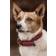 Kentucky Dogwear Hundehalsband geknüpftes Nylon Bordeaux 37cm