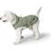 Hunter Hunde-Regenmantel Milford Grün