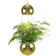 Globen Lighting Planter Mini Pendant Lamp 18cm