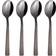 Aida Raw Dessert Spoon 14cm 4pcs