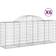 vidaXL 200 80/100 cm/ 6 Arched Gabion Basket Cage