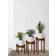 Florny Modern Set of 3 Wood Plant Stand