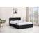 Kosy Koala Leather Ottoman Bed 105x200cm