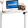 Flexispot Essential White Writing Desk 60x100cm