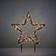 Luca Garden Stake Black Advent Star 60cm