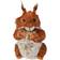 Wrendale Designs Fern Junior Squirrel