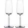 Iittala Senta Champagne Glass 21cl 2pcs