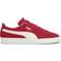 Puma Suede Classic XXI M - Cabernet/White