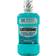 Listerine cool mint mouth rinse 3 fresh daily