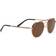 Serengeti Shelby Polarized SS533001