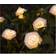 GardenWize Solar 2 Flower Cream String Light