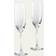 Lalique 100 Points Flutes Champagne Glass