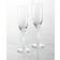 Lalique 100 Points Flutes Champagne Glass