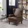 Furniture One Electric Riser the Elderly Armchair