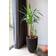 Capi Elegant Groove Vase