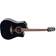 Martin Takamine GD34CE Black