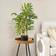 Homcom Potted Bamboo Tree Artificial Plant
