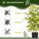 Homcom Potted Bamboo Tree Artificial Plant