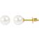 Jacques Lemans Pearl Studs - Gold/Pearls