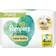 Pampers Harmonie New Baby Wipes 184pcs