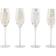 Mikasa Cheers Etched Champagne Glass 30cl 4pcs