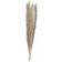 Ginger Ray Party Decorations Natural Pampas Grass 5pcs