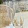 Ginger Ray Party Decorations Natural Pampas Grass 5pcs