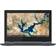 Lenovo IdeaPad Flex 3 CB 11IGL05 82BB000FUK