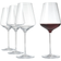 Aida Connoisseur Red Wine Glass, White Wine Glass 64.5cl 4pcs