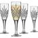 Godinger Dublin Crystal Champagne Glass 17.7cl 4pcs