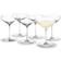 Holmegaard Perfection Cocktail Glass 38cl 6pcs