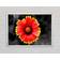 Ebern Designs Colors Of The Sun White Framed Art 118.9x84.1cm