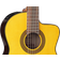 Takamine GC5CE-NAT