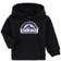 Outerstuff Toddler Colorado Rockies Team Primary Logo Fleece Pullover Hoodie - Black