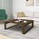 vidaXL 816001 Brown Oak Coffee Table 100x100cm