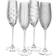 Mikasa Cheers Champagne Glass 23.7cl 4pcs