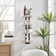 Danya B 4 Tier Ladder Bracket Floating Beech Wall Shelf 27.9cm