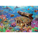 5D DIY Diamond Painting Dolphin Ocean Embroidery Cross Stitch