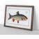 East Urban Home Idus-Carp Fish by M.E. Bloch Painting Walnut Framed Art 50x35cm