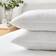 Hotel Luxury Cotton Side Sleeper Fiber Pillow (74x48cm)