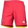 Adidas St. Louis City SC Away AEROREADY Authentic Shorts 2023