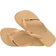 Havaianas Top Capsule II - Golden