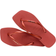 Havaianas Square Logo Metallic - Mahogany