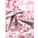 Shein SHEIN x Marika Sila SHEIN MOD Summer Pink Allover Floral Print Ruffle Trim Tie Backless Ruched Bust Halter Dress