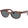 Ray-Ban Wayfarer Oval Polarized RB2242 954/3R