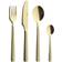 Aida Raw Champagne Cutlery Set 48pcs