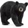 Schleich American Black Bear 14869