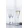 Spiegelau Willsberger Anniversary Champagne Glass 25.1cl 4pcs