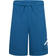 Nike Big Kid's Jordan MJ Essentials Dri-FIT Baseline Shorts - Industrial Blue (95D101-U1R)