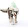 Schleich Snow Wolf 42452